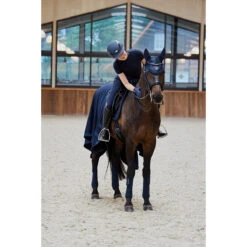 Oornetje Eskadron Platinum Pure Glitter Mesh Blauw -Default Template 3 oornetje eskadron platinum pure glitter mesh blauw 1500x1500 184392