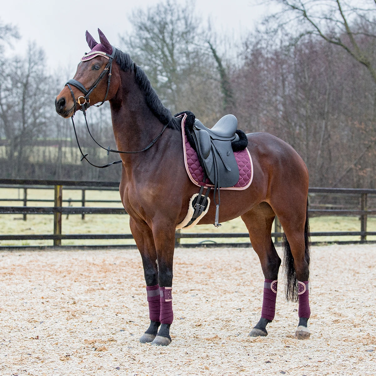 Oornetje Horsegear Aurum Paars 3 Oornetje Horsegear Aurum Paars - Afbeelding 3