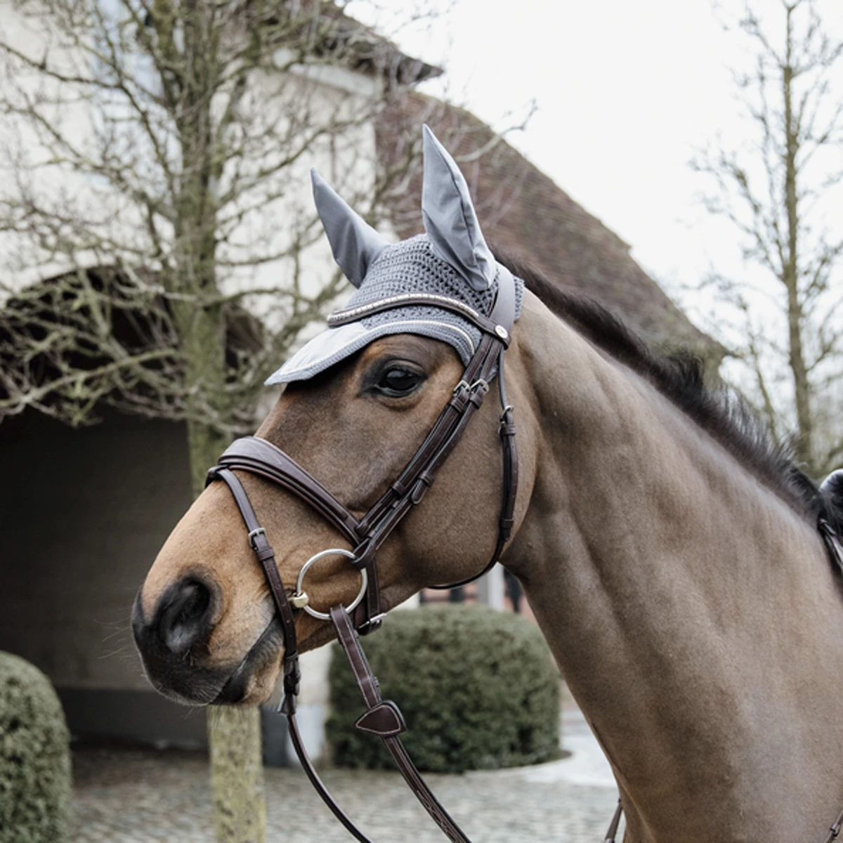 Oornetje Kentucky Wellington Velvet Grijs 4 Oornetje Kentucky Wellington Velvet Grijs - Afbeelding 4