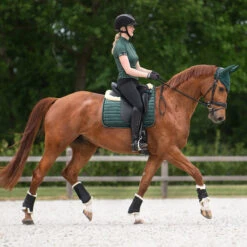 Oornetje QHP Astana Donkergroen -Default Template 3 oornetje qhp astana donkergroen 1500x1500 159256