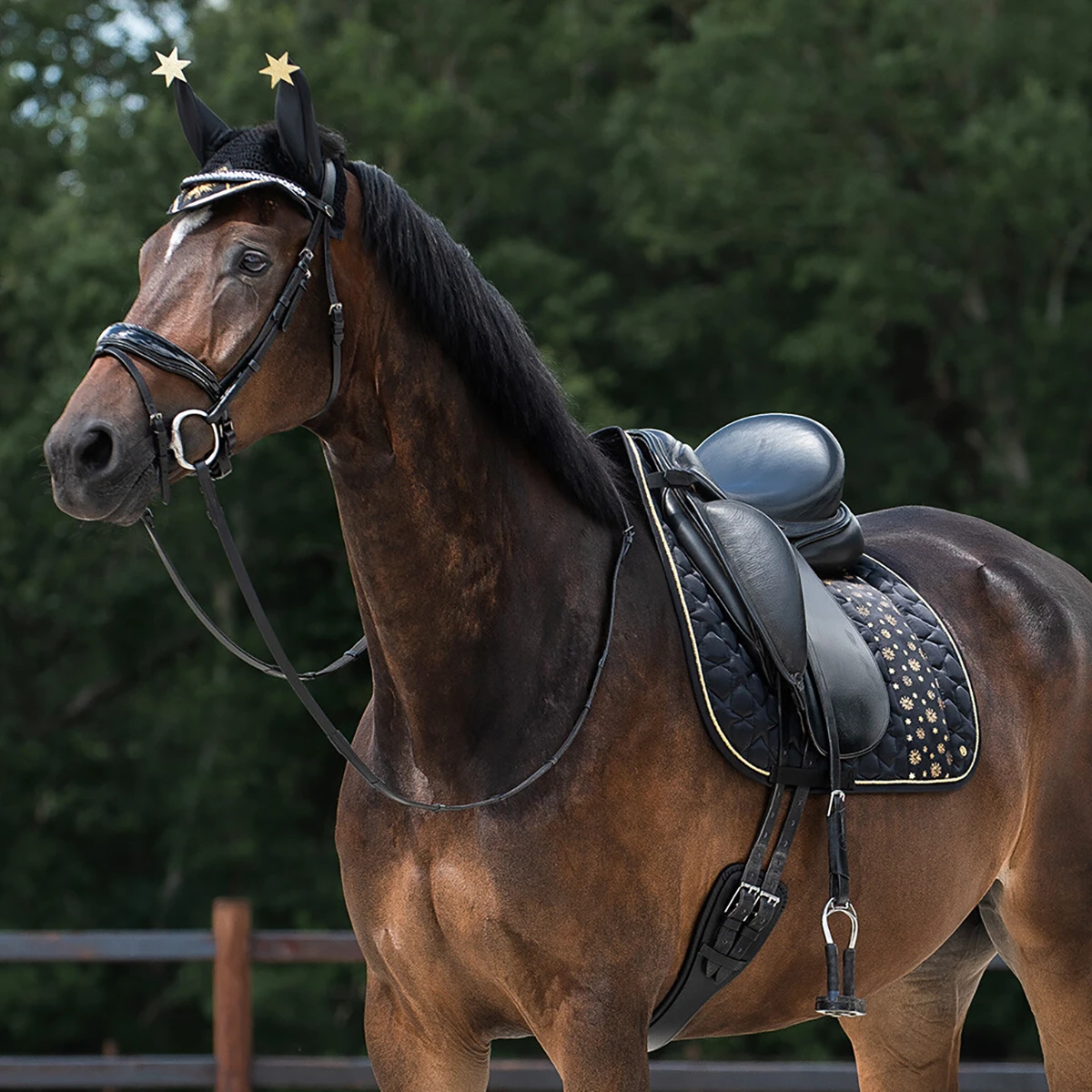 Oornetje QHP Celebrate Zwart 3 Oornetje QHP Celebrate Zwart - Afbeelding 3