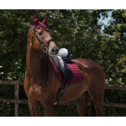 Oornetje QHP Florence Donkerrood -Default Template 3 oornetje qhp florence donkerrood 1500x1500 125727