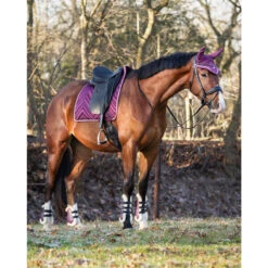 Peesbeschermers QHP Menton Paars -Default Template 3 peesbeschermers qhp menton paars 1500x1500 186862