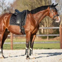 Peesbeschermers QHP Menton Zwart -Default Template 3 peesbeschermers qhp menton zwart 1500x1500 186858