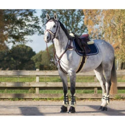 Peesbeschermers QHP Ontario Bruin -Default Template 3 peesbeschermers qhp ontario bruin 1500x1500 120614