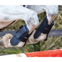 Peesbeschermers WeatherBeeta Lite Zwart -Default Template 3 peesbeschermers weatherbeeta lite zwart 1500x1500 135136