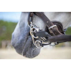 Pelham Riempjes Sprenger Zwart -Default Template 3 pelham riempjes sprenger zwart 1500x1500 103274