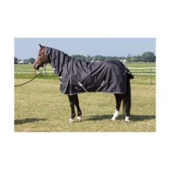 Regendeken Harrys Horse Thor 0gr Met Nek Zwart 7 Regendeken Harrys Horse Thor 0gr Met Nek Zwart -Default Template 3 regendeken harrys horse thor 0gr met nek zwart 1500x1500 102562