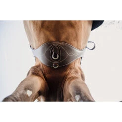 Singel Kentucky Anatomisch Bruin -Default Template 3 singel kentucky anatomisch bruin 1500x1500 137515