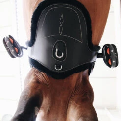 Singel Kentucky Sheepskin Met Buikflap Zwart -Default Template 3 singel kentucky sheepskin met buikflap zwart 1500x1500 137502