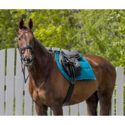 Singel QHP Anatomical Zwart 8 Singel QHP Anatomical Zwart -Default Template 3 singel qhp anatomical zwart 1500x1500 117366