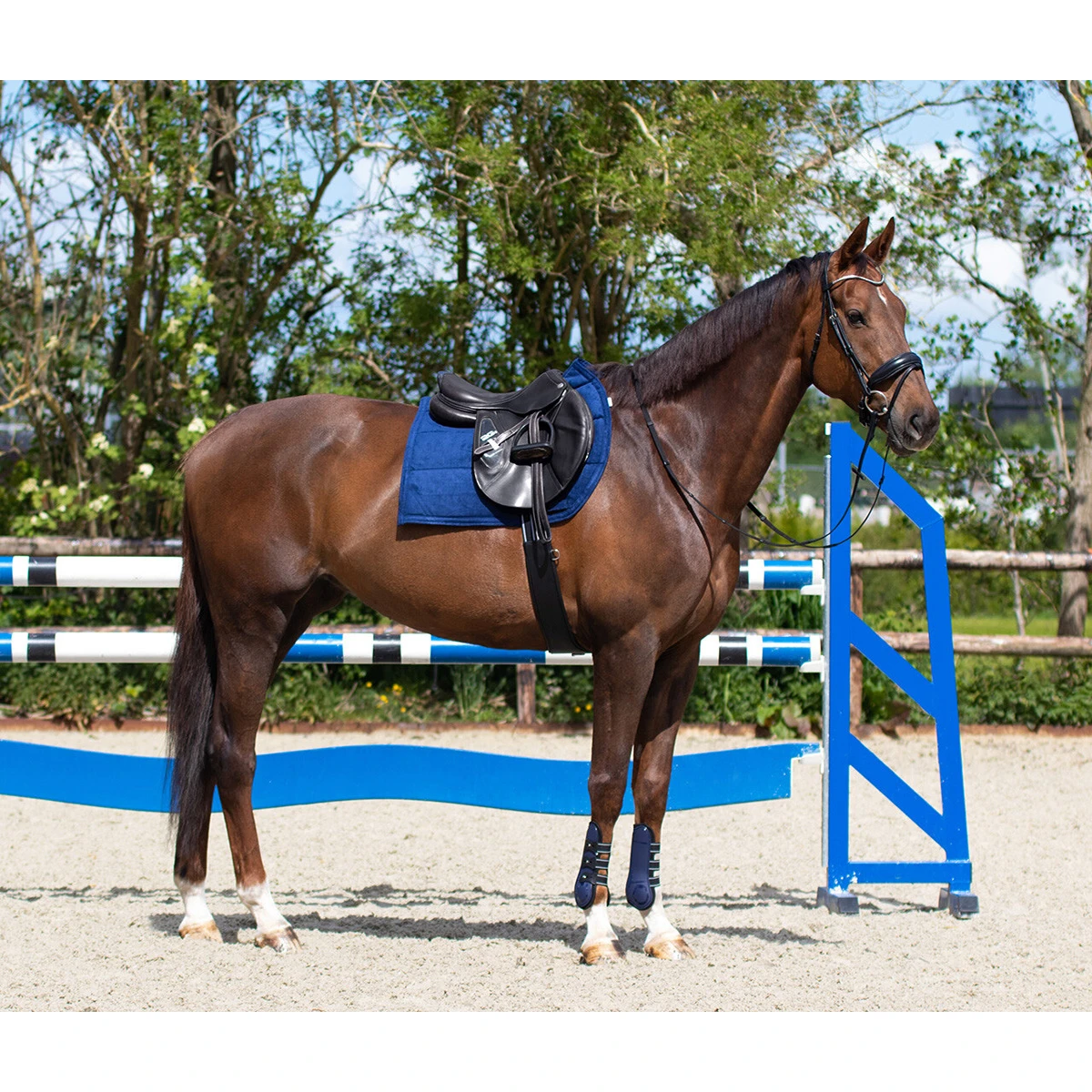 Singel QHP Anatomical Zwart 5 Singel QHP Anatomical Zwart - Afbeelding 5