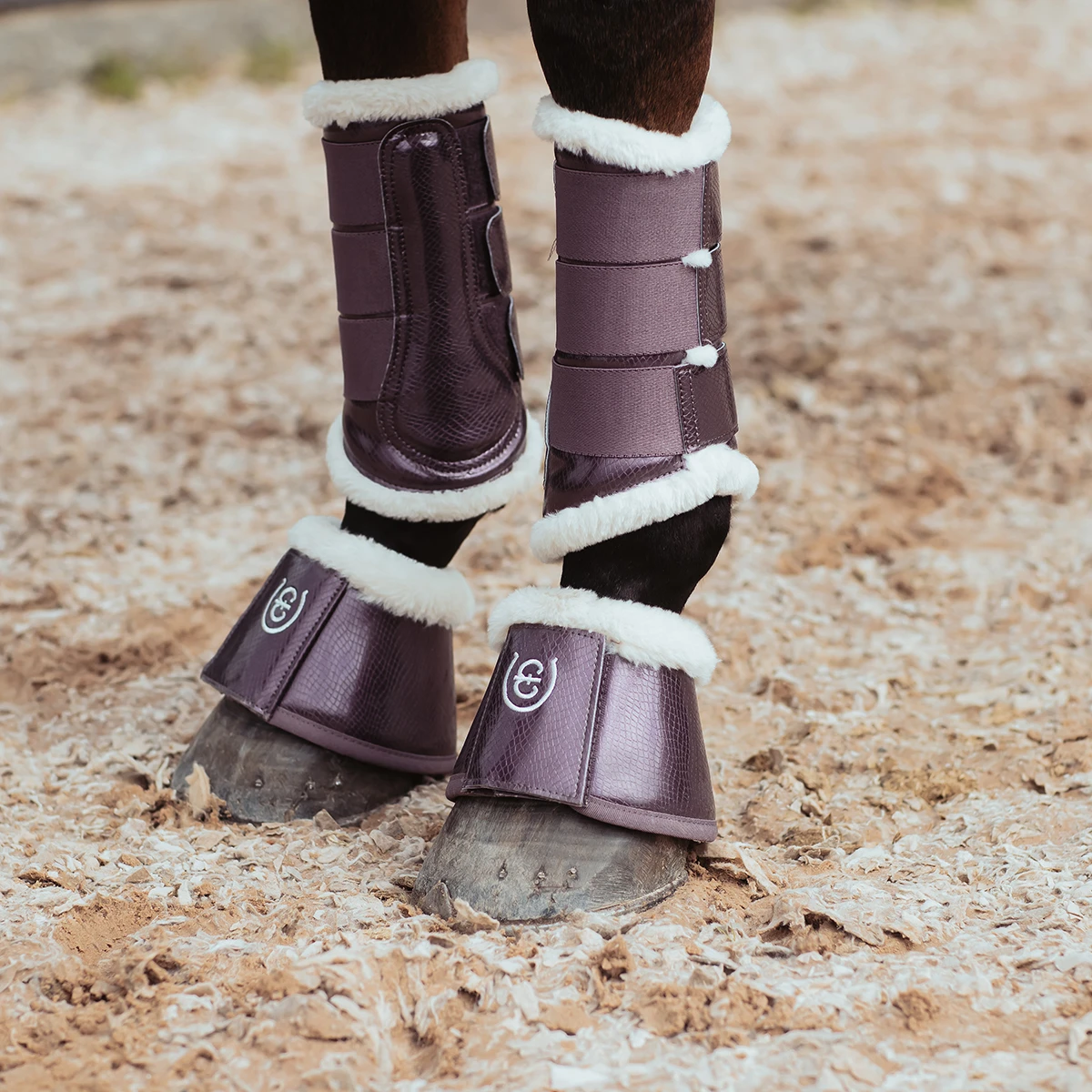 Springschoenen Equestrian Stockholm Orchid Bloom Paars 2 Springschoenen Equestrian Stockholm Orchid Bloom Paars - Afbeelding 2