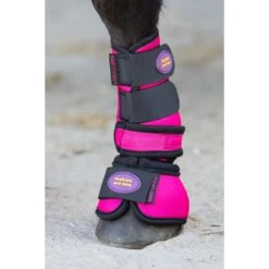 Springschoenen Harry's Horse Diva Fuchsia Donkerroze 7 Springschoenen Harry's Horse Diva Fuchsia Donkerroze -Default Template 3 springschoenen harry s horse diva fuchsia donkerroze 1500x1500 181672