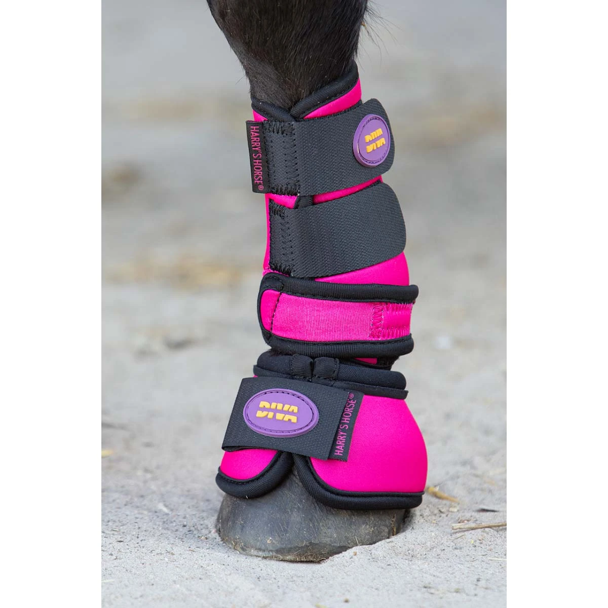 Springschoenen Harry's Horse Diva Fuchsia Donkerroze 3 Springschoenen Harry's Horse Diva Fuchsia Donkerroze - Afbeelding 3