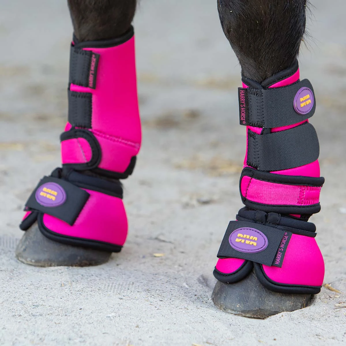 Springschoenen Harry's Horse Diva Fuchsia Donkerroze 4 Springschoenen Harry's Horse Diva Fuchsia Donkerroze - Afbeelding 4