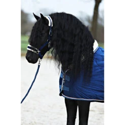 Staldeken Friesian Horse By Horsegear 160gr Donkerblauw -Default Template 3 staldeken friesian horse by horsegear 160gr donkerblauw 1500x1500 173333