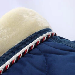 Staldeken Friesian Horse By Horsegear 160gr Donkerblauw -Default Template 3 staldeken friesian horse by horsegear 160gr donkerblauw 1500x1500 173348