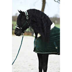 Staldeken Friesian Horse By Horsegear 160gr Donkergroen -Default Template 3 staldeken friesian horse by horsegear 160gr donkergroen 1500x1500 173362