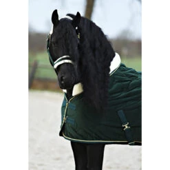 Staldeken Friesian Horse By Horsegear 160gr Donkergroen -Default Template 3 staldeken friesian horse by horsegear 160gr donkergroen 1500x1500 173363