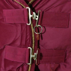 Staldeken Friesian Horse By Horsegear 160gr Donkerrood -Default Template 3 staldeken friesian horse by horsegear 160gr donkerrood 1500x1500 173354