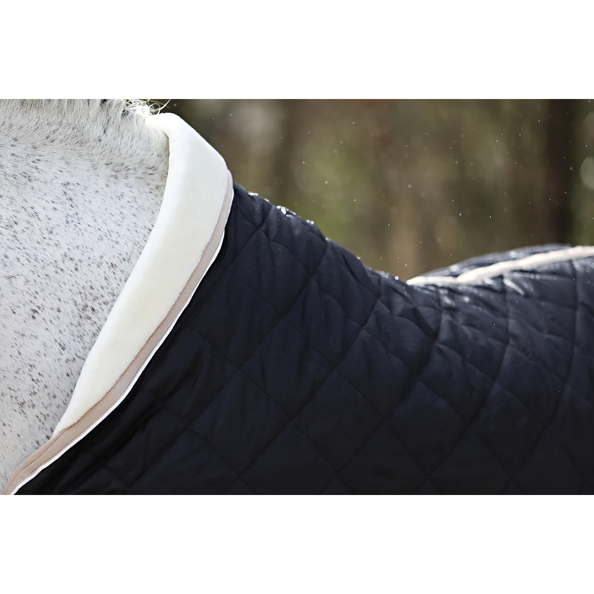 Staldeken Horsegear Lodix 150gr Black-beige 5 Staldeken Horsegear Lodix 150gr Black-beige - Afbeelding 5