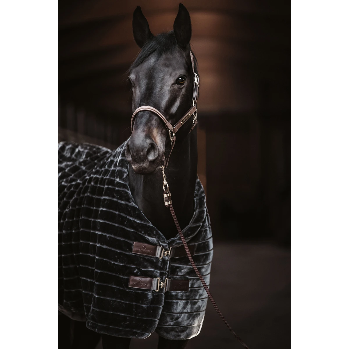 Staldeken Kentucky Fake Fur Donkergrijs 3 Staldeken Kentucky Fake Fur Donkergrijs - Afbeelding 3