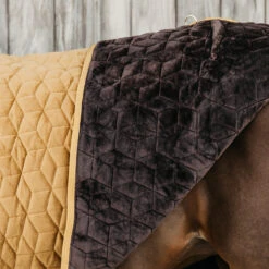 Staldeken Kentucky Velvet 160gr Donkergeel -Default Template 3 staldeken kentucky velvet 160gr donkergeel 1500x1500 139902