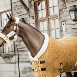 Staldeken Kentucky Velvet 160gr Donkergeel -Default Template 3 staldeken kentucky velvet 160gr donkergeel 1500x1500 139904