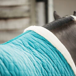 Staldeken Kentucky Velvet 160gr Groen -Default Template 3 staldeken kentucky velvet 160gr groen 1500x1500 139907