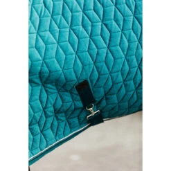 Staldeken Kentucky Velvet 160gr Groen -Default Template 3 staldeken kentucky velvet 160gr groen 1500x1500 139908