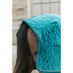 Staldeken Kentucky Velvet 160gr Groen -Default Template 3 staldeken kentucky velvet 160gr groen 1500x1500 139909