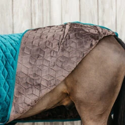 Staldeken Kentucky Velvet 160gr Groen -Default Template 3 staldeken kentucky velvet 160gr groen 1500x1500 139910