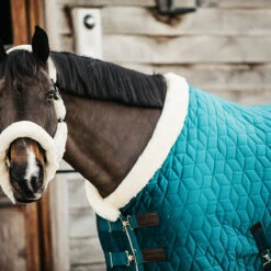 Staldeken Kentucky Velvet 160gr Groen -Default Template 3 staldeken kentucky velvet 160gr groen 1500x1500 139911