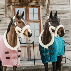 Staldeken Kentucky Velvet 160gr Groen -Default Template 3 staldeken kentucky velvet 160gr groen 1500x1500 139912