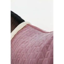 Staldeken Kentucky Velvet 160gr Roze -Default Template 3 staldeken kentucky velvet 160gr roze 1500x1500 139893
