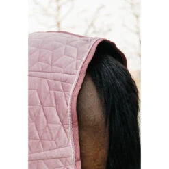 Staldeken Kentucky Velvet 160gr Roze -Default Template 3 staldeken kentucky velvet 160gr roze 1500x1500 139896