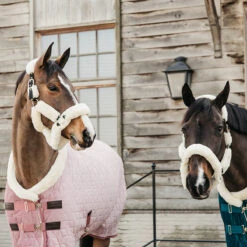 Staldeken Kentucky Velvet 160gr Roze -Default Template 3 staldeken kentucky velvet 160gr roze 1500x1500 139897