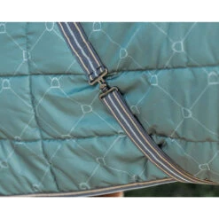 Staldeken QHP Collection 200gr Groen -Default Template 3 staldeken qhp collection 200gr groen 1500x1500 162685