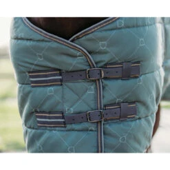 Staldeken QHP Collection 200gr Groen -Default Template 3 staldeken qhp collection 200gr groen 1500x1500 162686