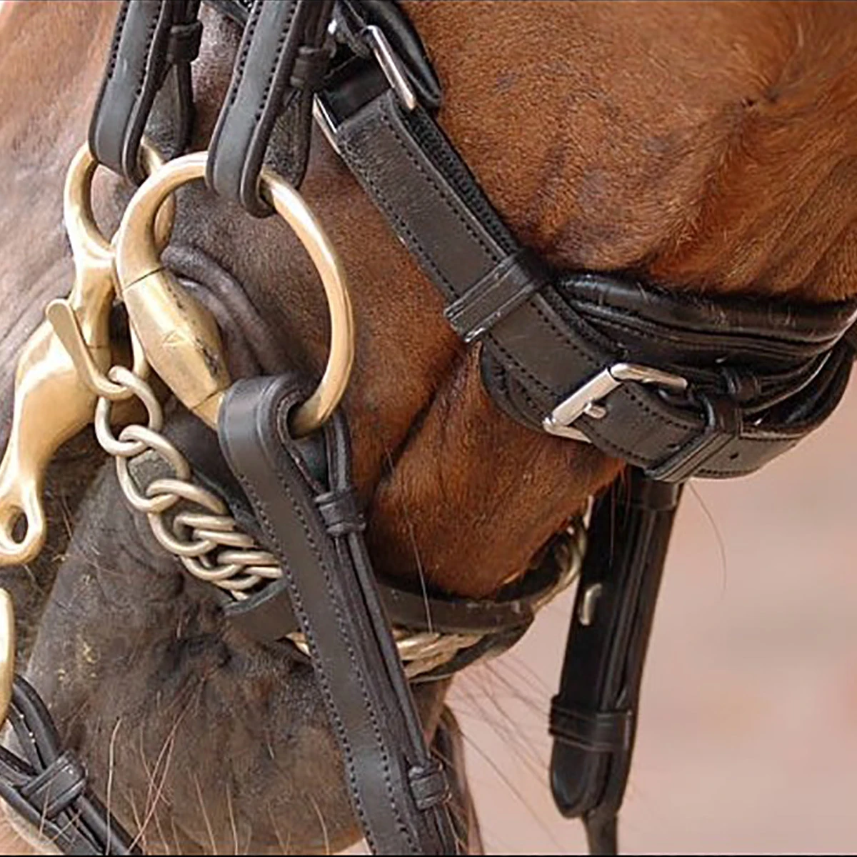 Stang En Trens Dy'on DRC Lak Zwart-wit 6 Stang En Trens Dy'on DRC Lak Zwart-wit - Afbeelding 6