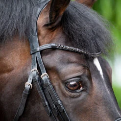 Stang En Trens HB Showtime Special For You Black-black -Default Template 3 stang en trens hb showtime special for you black black 1500x1500 181566