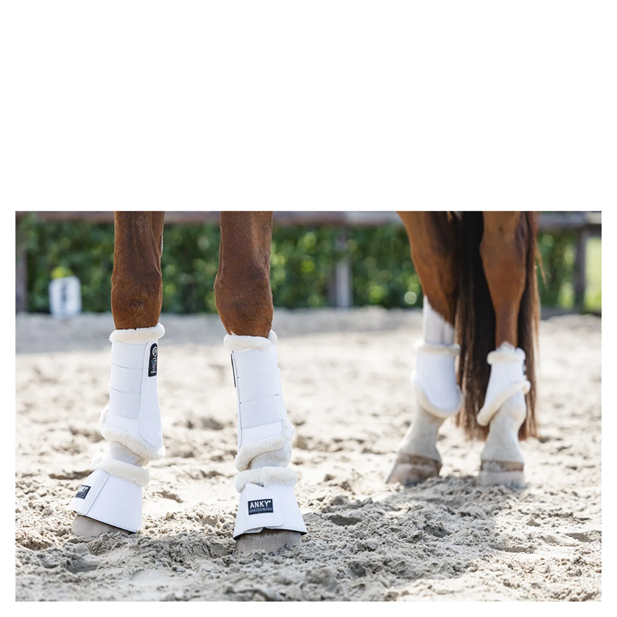 Strijklappen Anky ATB22005 Wit 2 Strijklappen Anky ATB22005 Wit - Afbeelding 2