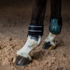 Strijklappen Equestrian Stockholm Anatomic Sycamore Green Groen -Default Template 3 strijklappen equestrian stockholm anatomic sycamore green groen 1500x1500 173994