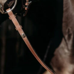 Teugels PresTeq FaySport Bruin -Default Template 3 teugels presteq faysport bruin 1500x1500 167050