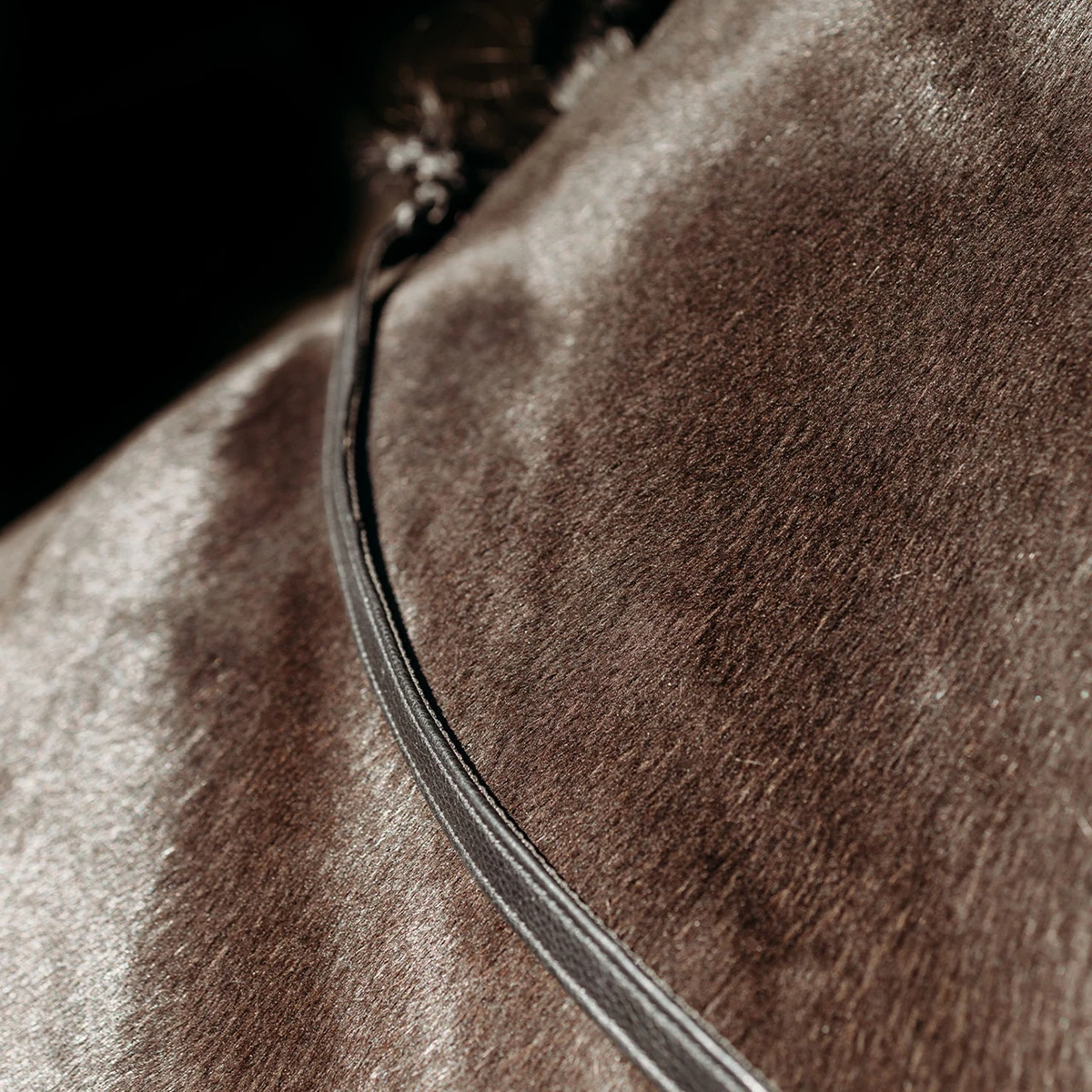 Teugels PresTeq FaySport Met Clips Zwart 2 Teugels PresTeq FaySport Met Clips Zwart - Afbeelding 2