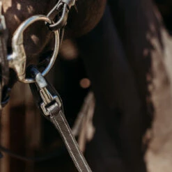 Teugels PresTeq FaySport Met Clips Zwart 5 Teugels PresTeq FaySport Met Clips Zwart -Default Template 3 teugels presteq faysport met clips zwart 1500x1500 167007