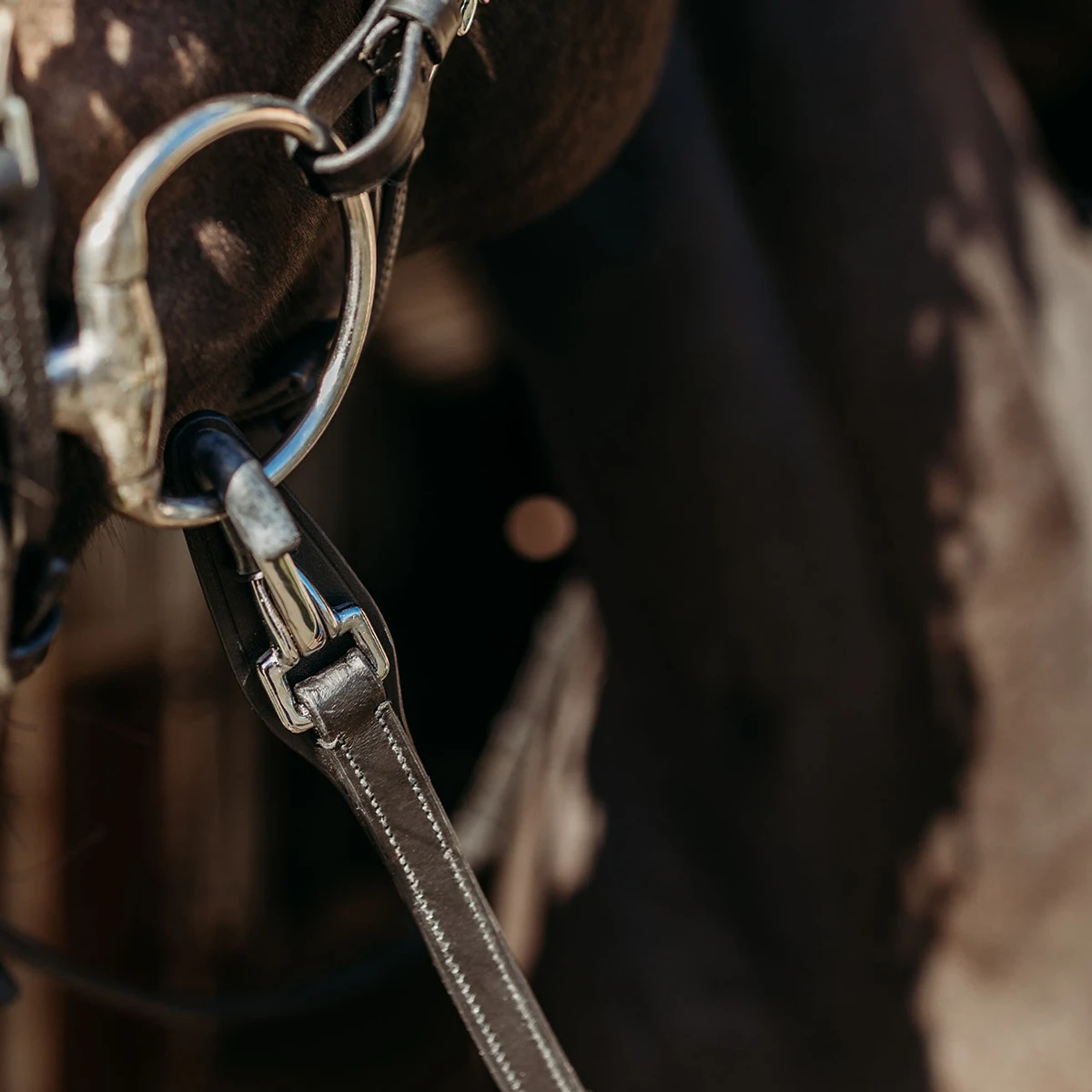 Teugels PresTeq FaySport Met Clips Zwart 3 Teugels PresTeq FaySport Met Clips Zwart - Afbeelding 3