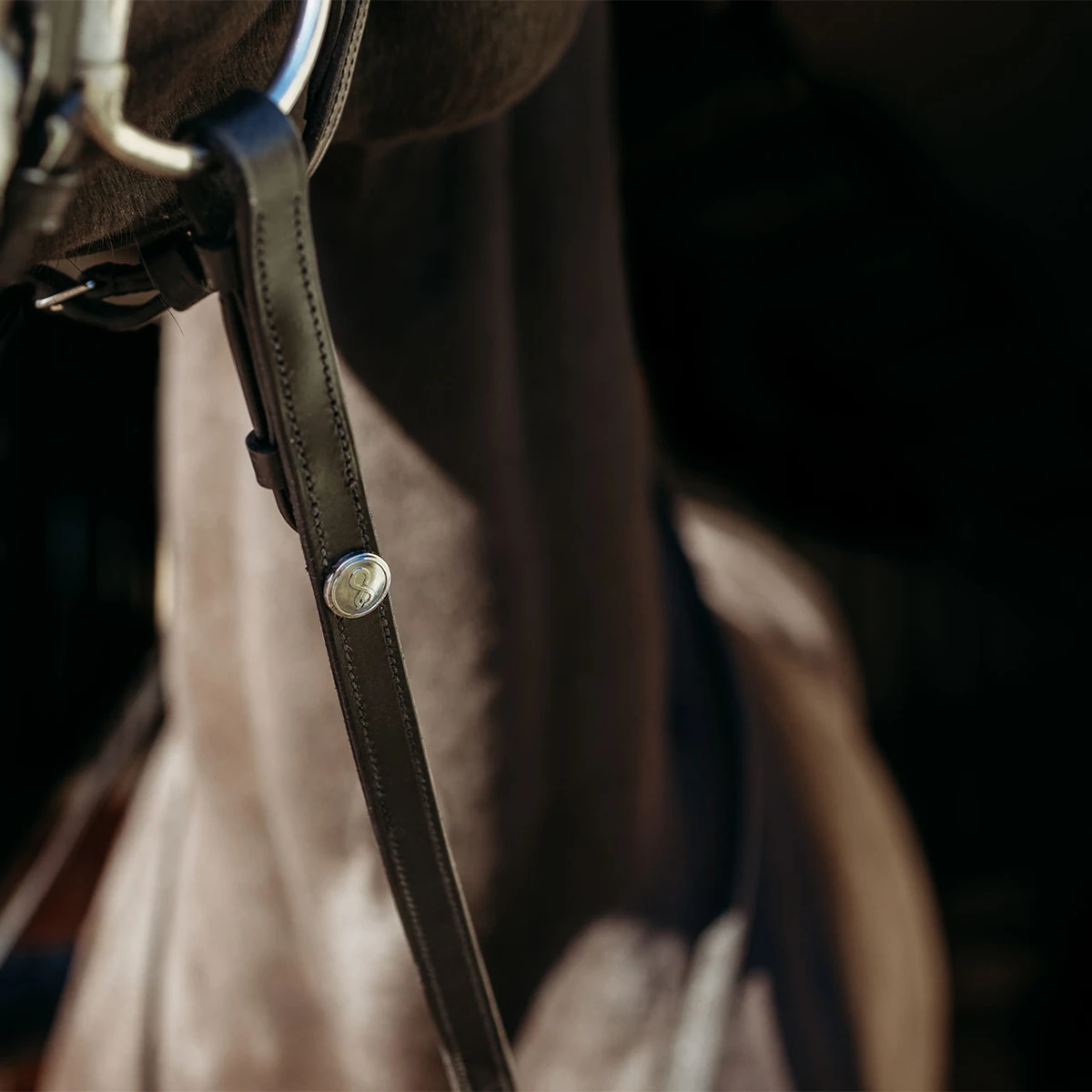 Teugels PresTeq FaySport Zwart 2 Teugels PresTeq FaySport Zwart - Afbeelding 2