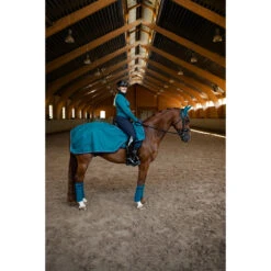 Uitrijdeken Equestrian Stockholm Aurora Blues Darkturquoise -Default Template 3 uitrijdeken equestrian stockholm aurora blues darkturquoise 1500x1500 166085